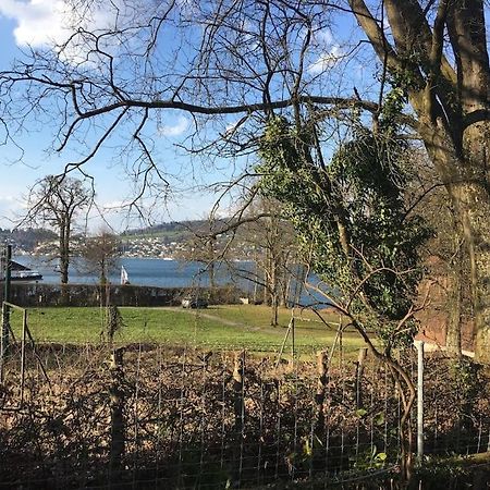 Studio Am Vierwaldstaettersee Horw Exterior foto