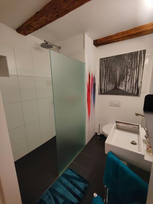 Studio Am Vierwaldstaettersee Horw Exterior foto