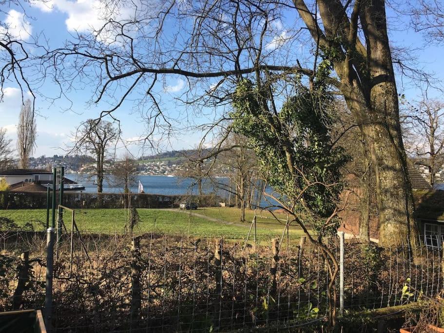 Studio Am Vierwaldstaettersee Horw Exterior foto